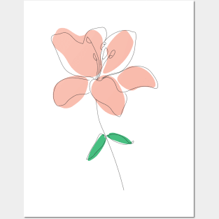 Lily flower Posters and Art